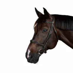 Dyon - Bridon New English Collection noir