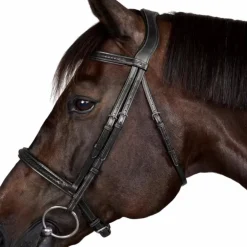 Dyon - Bridon New English Collection noir