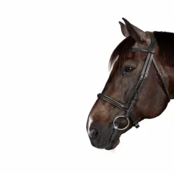 Dyon - Bridon New English Collection noir