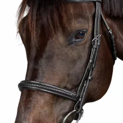 Dyon - Bridon New English Collection noir