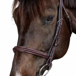 Dyon - Bridon New English Collection marron