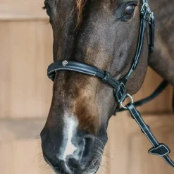 Dyon - Bridon sans mors Working by Dy'on noir