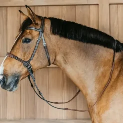 Dyon - Bridon sans mors Working by Dy'on havane