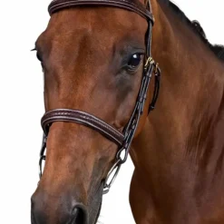 Dyon - Bridon tressé Dy'on Collection marron