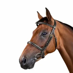 Dyon - Bridon tressé Dy'on Collection noir