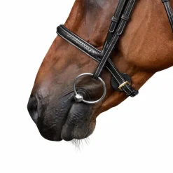 Dyon - Bridon tressé Dy'on Collection noir