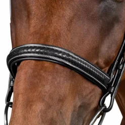 Dyon - Bridon tressé Dy'on Collection noir