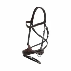 Dyon - Bridon Working Motion Working By Dyon havane