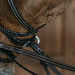 Dyon - Bridon Working Motion Working By Dyon havane