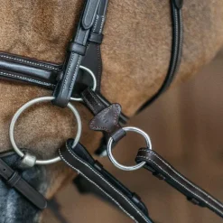 Dyon - Bridon Working Motion Working By Dyon havane