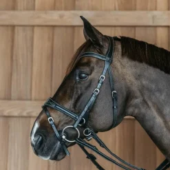 Dyon - Bridon Working Motion Working By Dyon noir