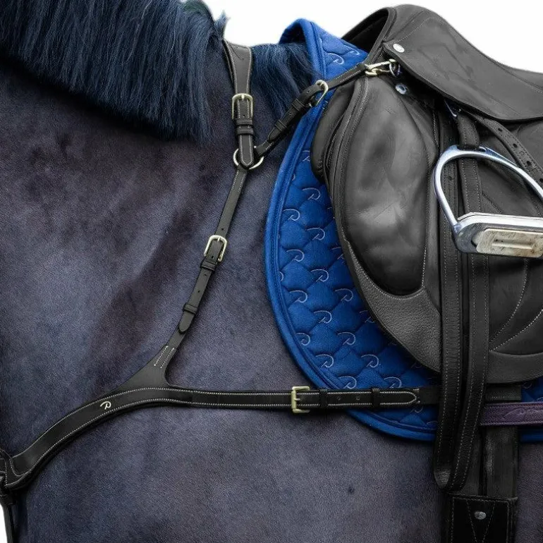 Dyon - Collier de chasse anatomique D Collection noir