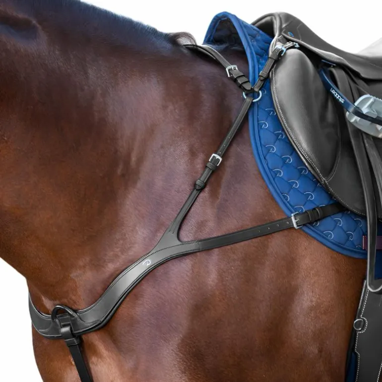 Dyon - Collier de chasse anatomique New English Collection noir