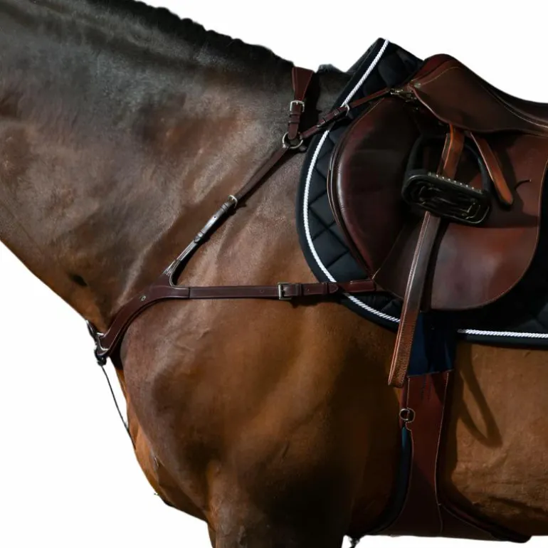 Dyon - Collier de chasse anatomique New English Collection brun