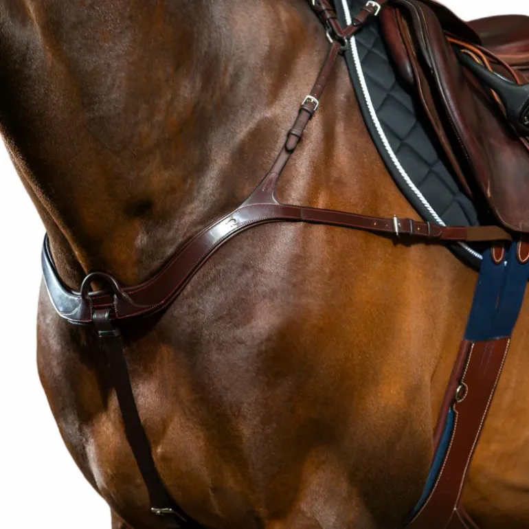 Dyon - Collier de chasse anatomique New English Collection brun