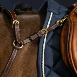 Dyon - Collier de chasse anatomique D Collection brun