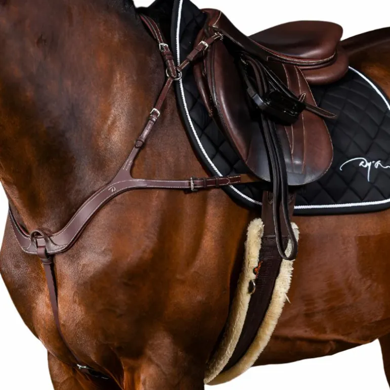 Dyon - Collier de chasse anatomique US Collection brun