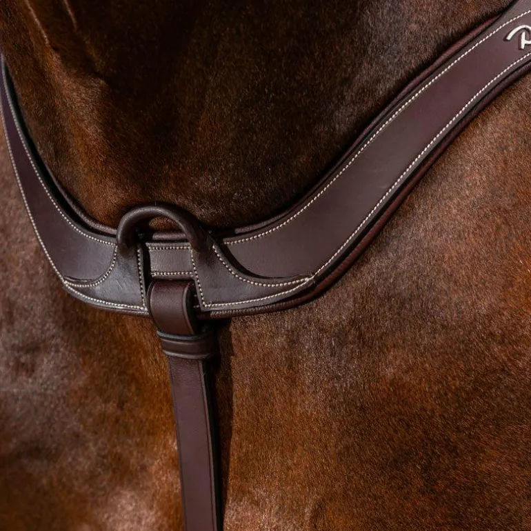 Dyon - Collier de chasse anatomique US Collection brun