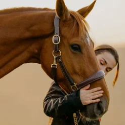 Dyon - Licol cuir D Collection brun