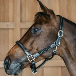 Dyon - Licol Tressé Working By Dy'on noir