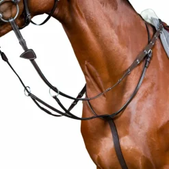 Dyon - Martingale à anneaux Working by Dyon brun