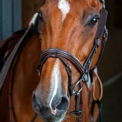 Dyon - Montants Focus brun