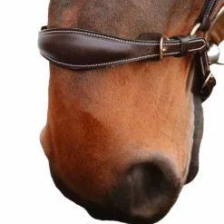 Dyon - Muserolle allemande chaîne D Collection marron