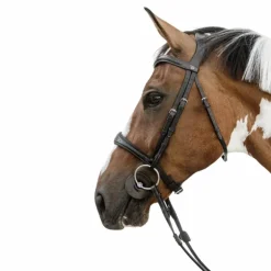 Dyon - Muserolle anatomique sans flash English Collection noir