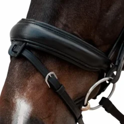 Dyon - Muserolle combinée Crank Matt noir