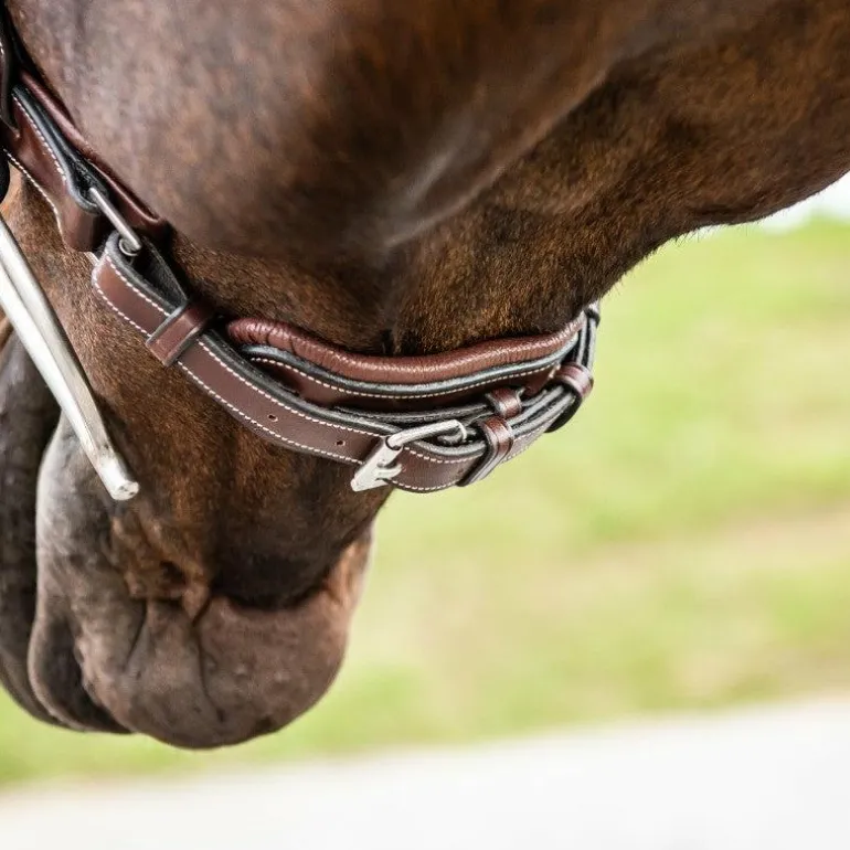 Dyon - Muserolle large Hunter fermeture pull-back US Collection marron