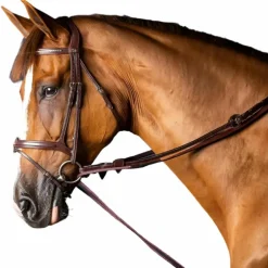 Dyon - Rênes allemandes en cuir et nylon 5/8 New English Collection brun