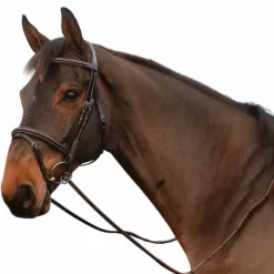 Dyon - Rênes caoutchouc 1/2 avec 7 arrêtoirs fermeture à anneaux marron