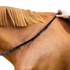 Dyon - Rênes caoutchouc 5/8 avec arrêtoirs et mousqueton Working noir