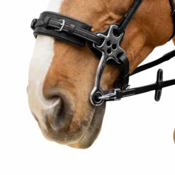 Dyon - Rênes caoutchouc 5/8 avec arrêtoirs et mousqueton Working noir