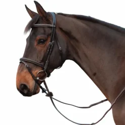 Dyon - Rênes en cuir à poignées Collection Working by Dy'on marron