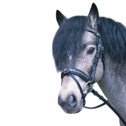 Eden by Pénélope - Bridon Eden avec rênes noir