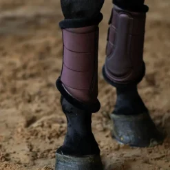 Equestrian Stockholm - Guêtres fermées Endless Glow marron x2