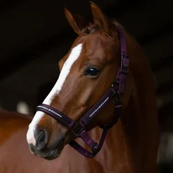 Equestrian Stockholm - Licol et longe Black Raven
