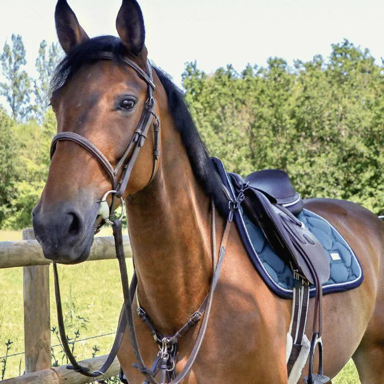 Equestrian Stockholm - Tapis de selle Emerald