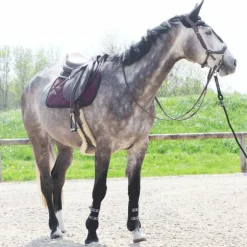 Equiline - Bonnet long pour chevaux noir