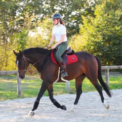 Equithème - Amortisseur teddy noir/ noir