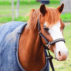 Equithème - Couverture d'extérieur Tyrex 600D marine/gris 0g