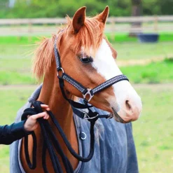 Equithème - Couverture d'extérieur Tyrex 600D marine/gris 0g