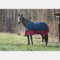 Equithème - Couverture d'extérieur Tyrex 1200D marine/bordeaux 50g