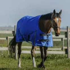 Equithème - Couverture d'extérieur Tyrex Aisance 1200D High Neck bleu roi 0g
