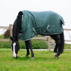 Equithème - Couverture Tyrex 600D recyclée vert 300g