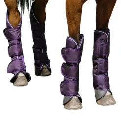 Equithème - Guêtres de transport Tyrex 600D prune