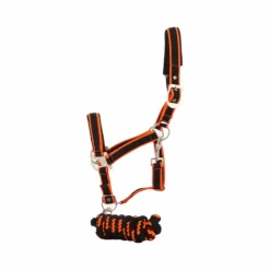 Equithème - Licol + longe Satiné noir/orange