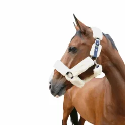 Equithème - Licol de transport Teddy marine/ écru