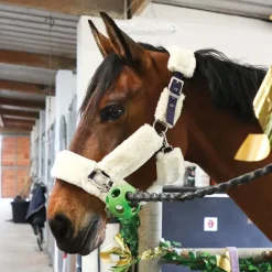 Equithème - Licol de transport Teddy marine/ écru